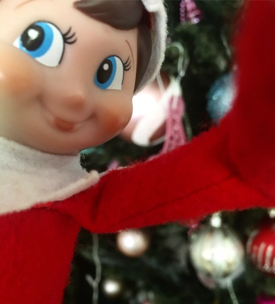 elf selfie