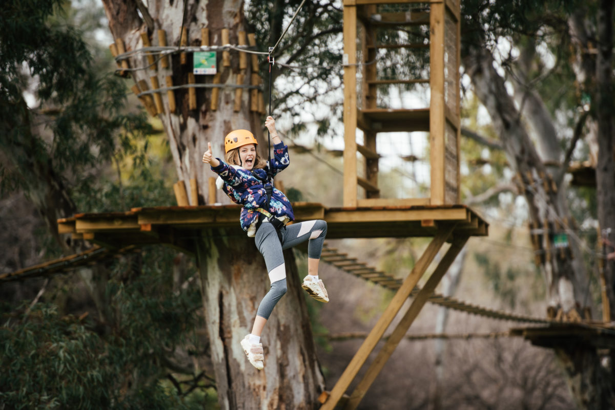 Adelaide TreeClimb The Wait is Over! KIDDO Mag