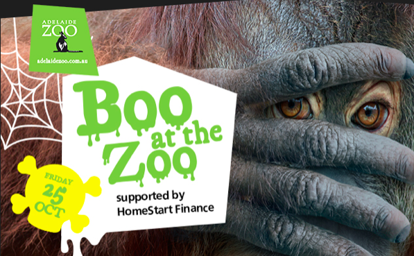 boo at the zoo