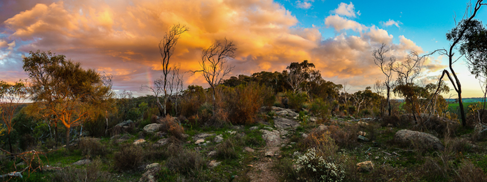 parrawirra conservation park