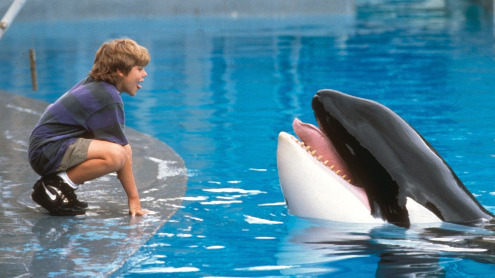 free willy