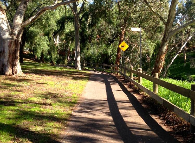 river torrens linear trail