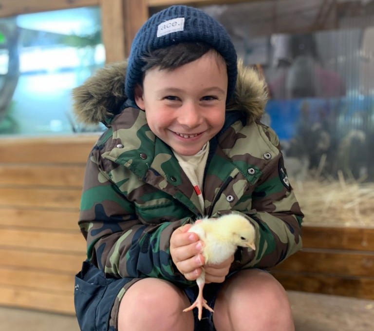 hahndorf farm barn