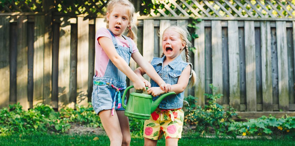 siblings fighting