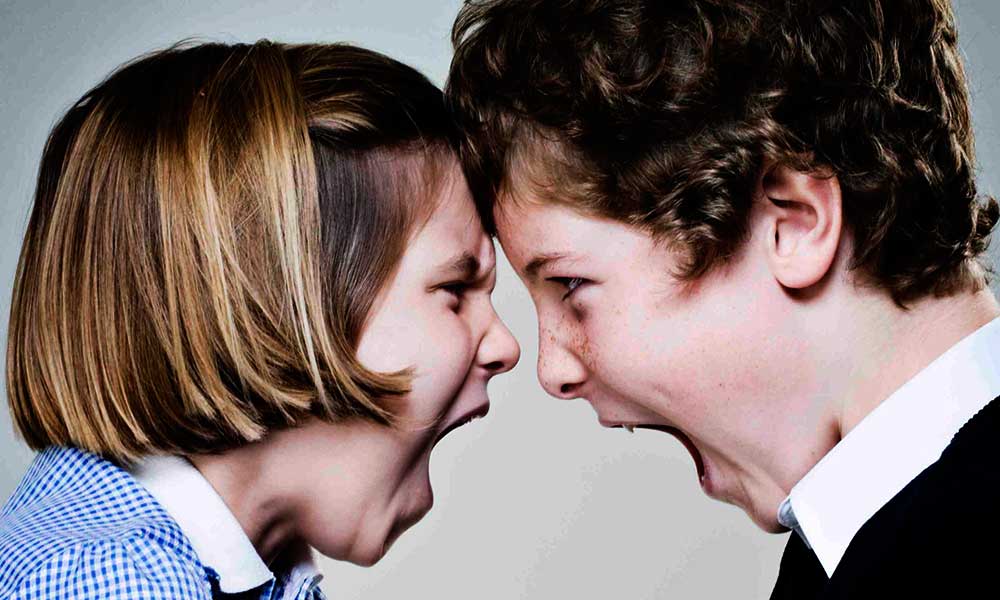 siblings fighting