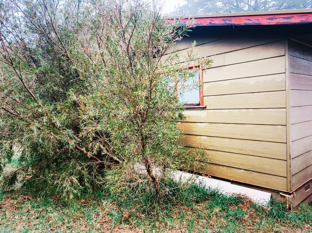 chambers chalet woodhouse