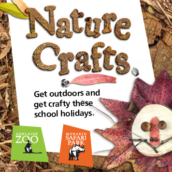 nature crafts adelaide zoo