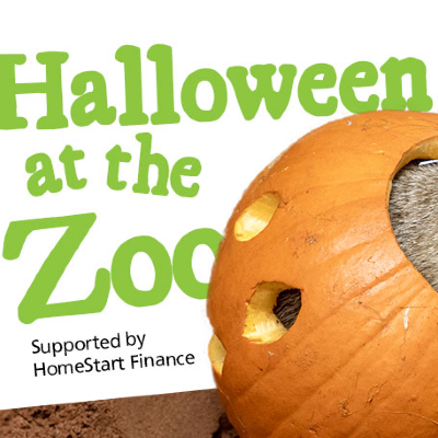 halloween at the adelaide zoo