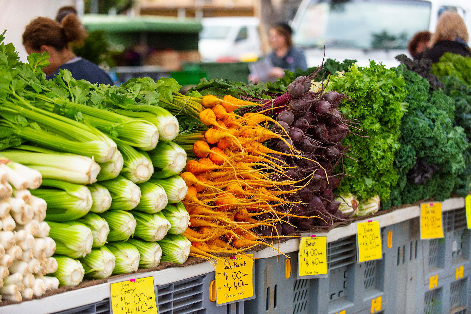 Adelaide Farmers Markets