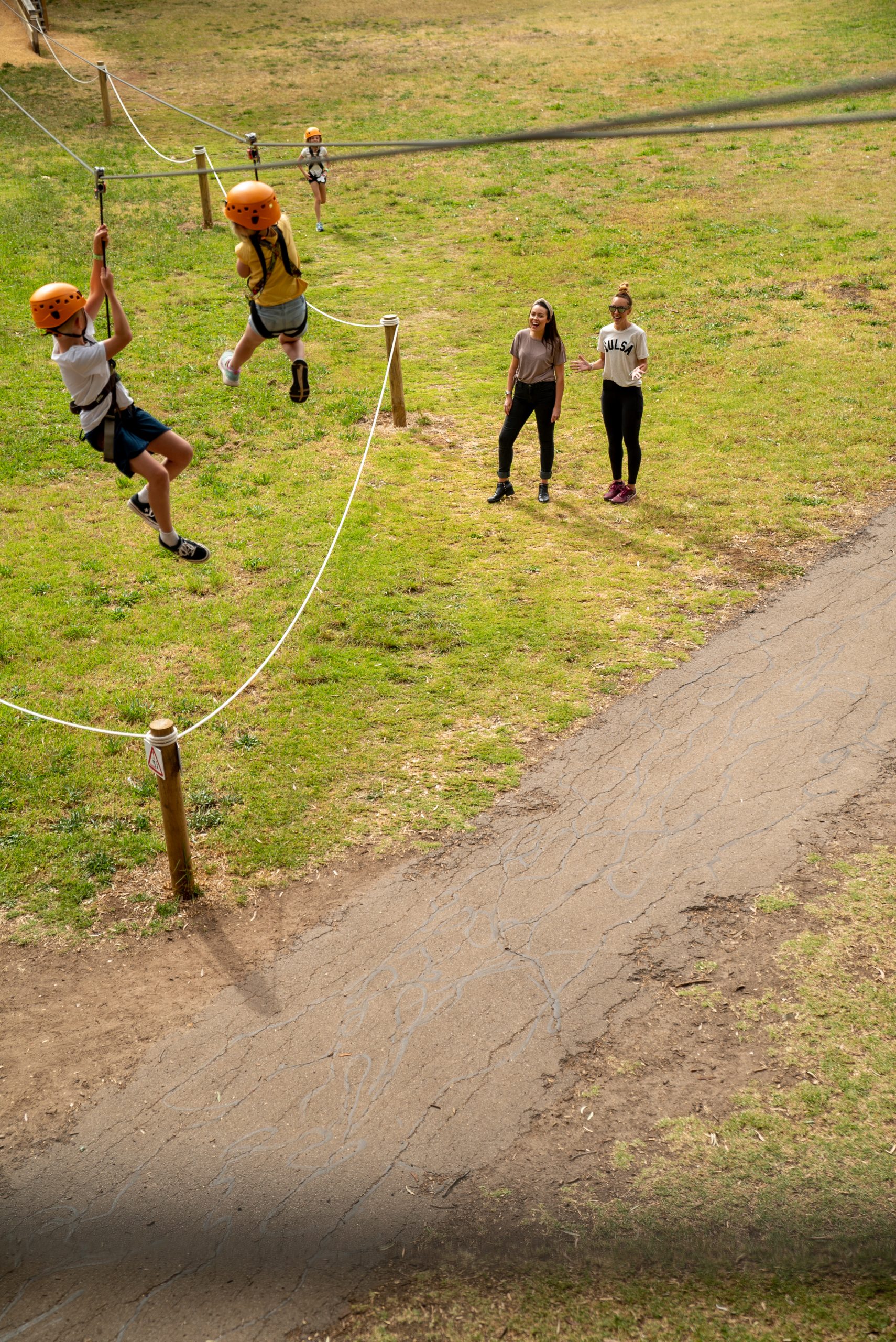 TreeClimb Adelaide