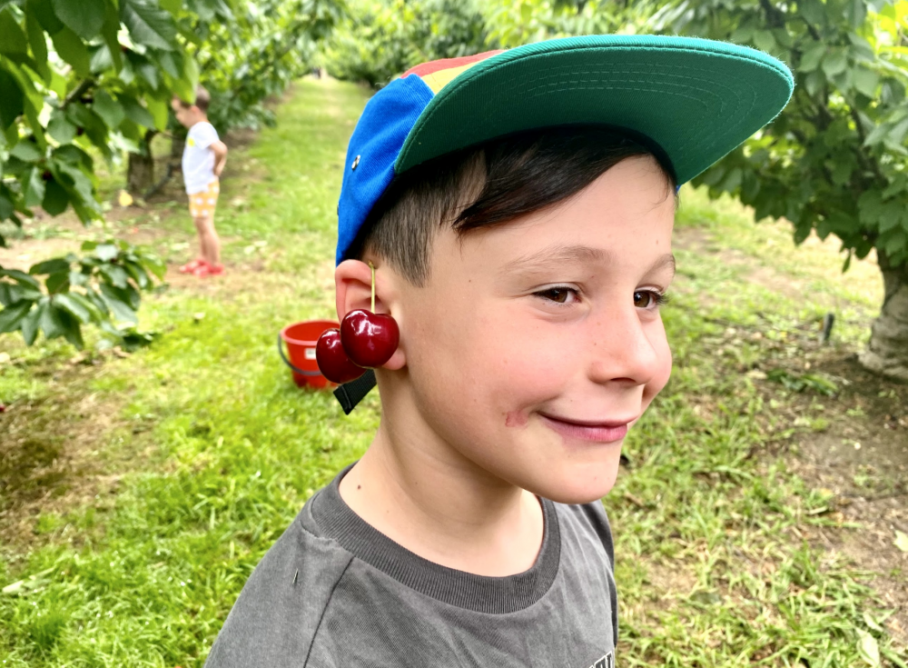 cherry picking adelaide