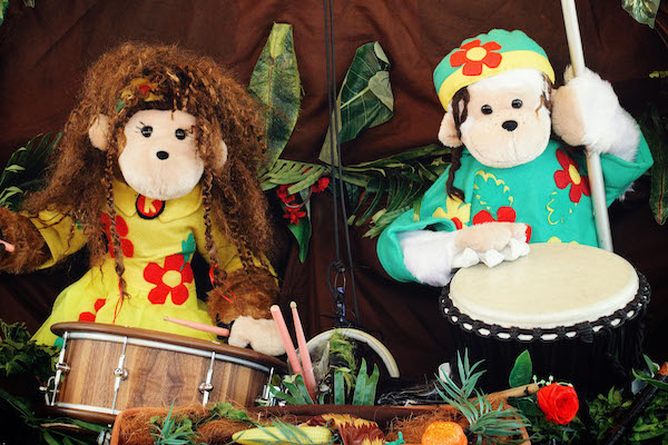 amazing drumming monkeys