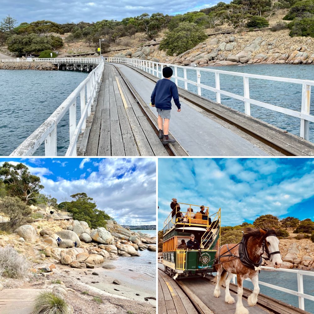 school holidays in adelaide