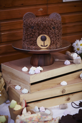 kids party theme teddy bears picnic