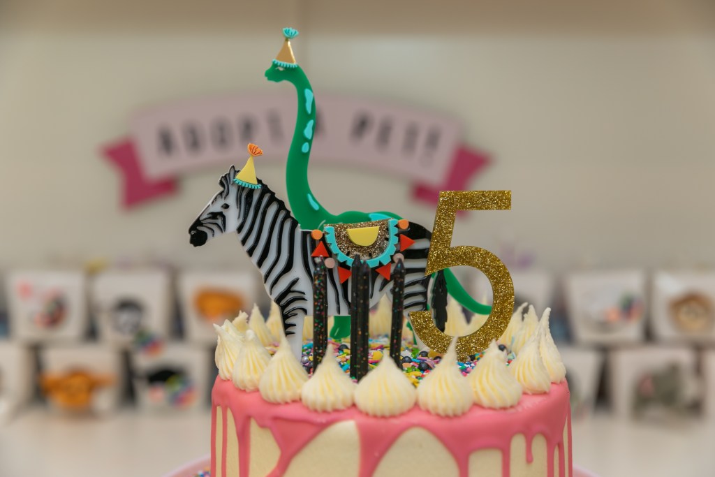 kids party animal theme