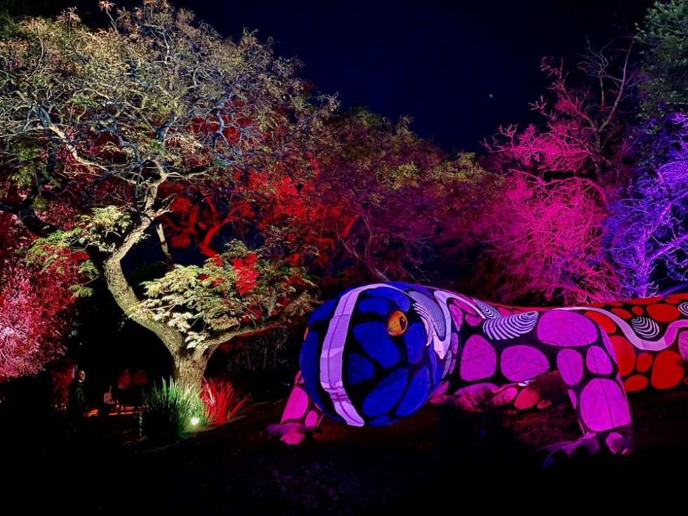 REVIEW LIGHT CREATURES AT ADELAIDE ZOO KIDDO Mag