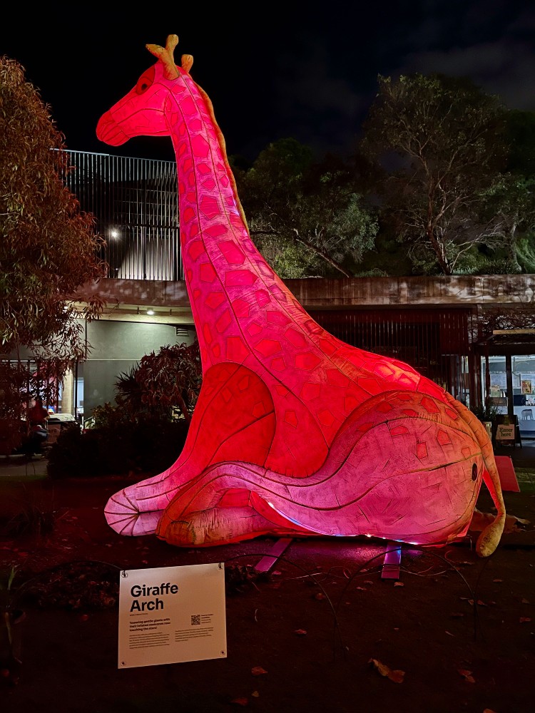 light creatures adelaide zoo