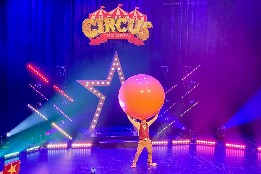 CIRCUS review