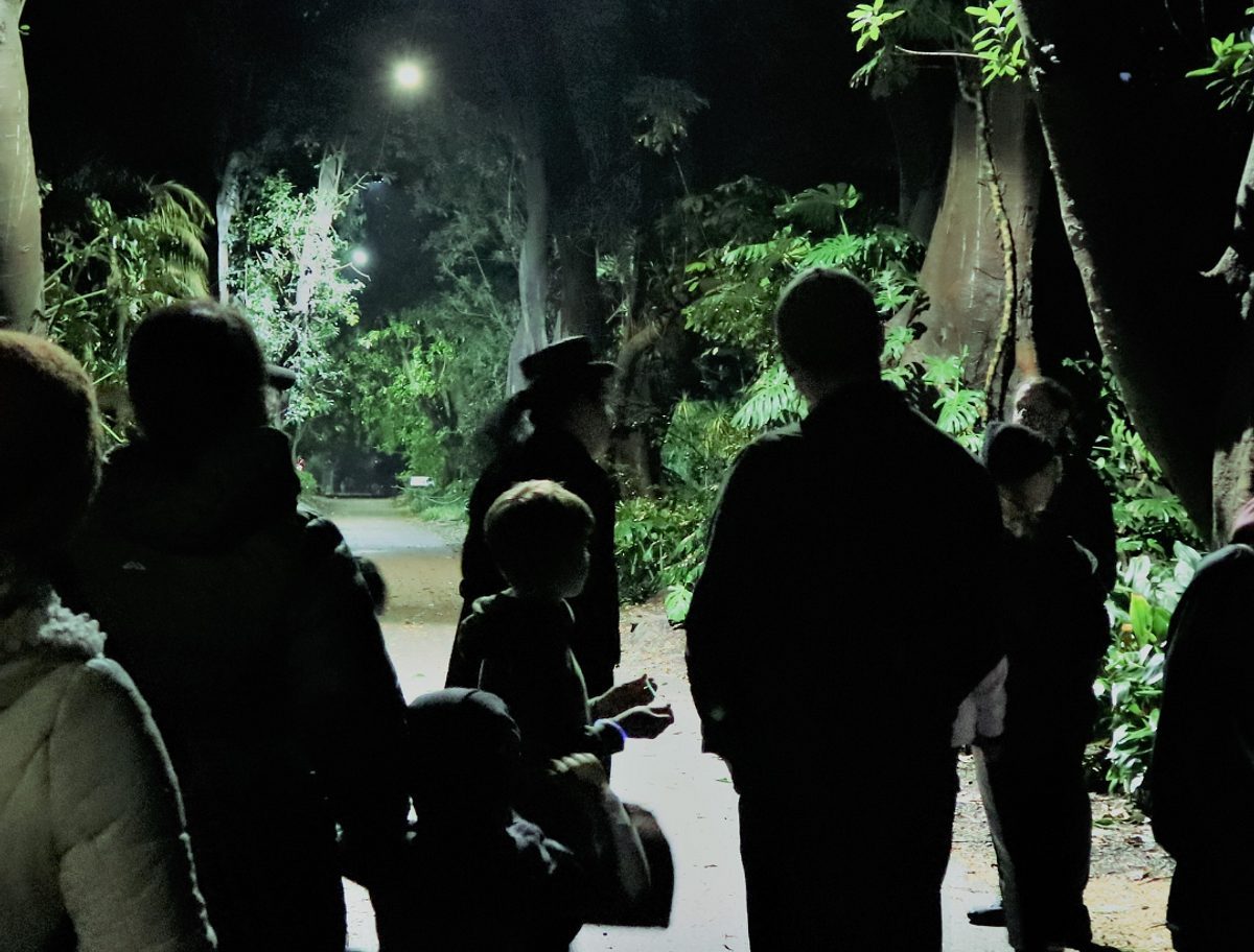 spoooky plants tour adelaide botanic gardens