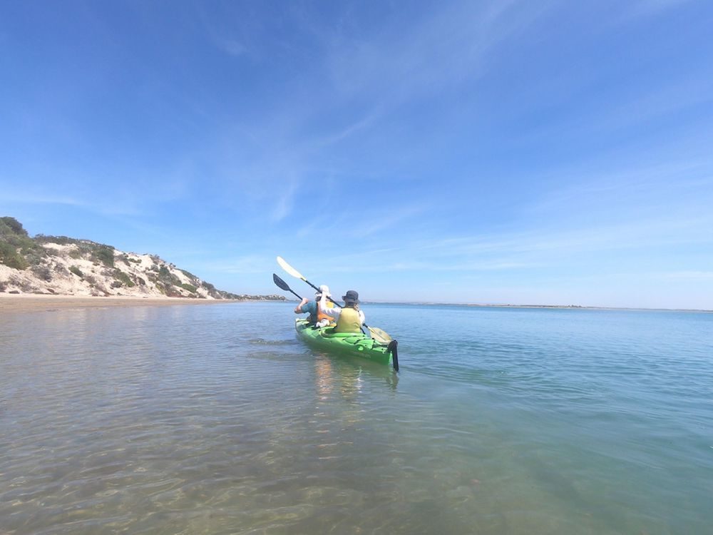 canoe the coorong